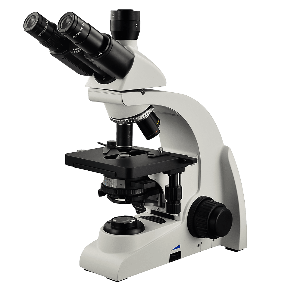 L2000 Biological Microscope