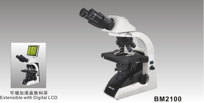 BM 2100 Biological Microscope- Group H-ALLTION-Doctors care about ...